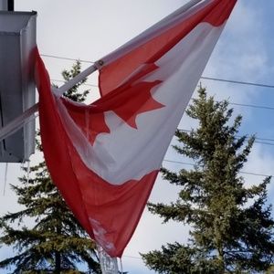 Meet your Posher, Farshid